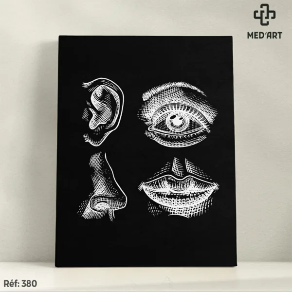 la vue, l'ouïe, l'odorat et le goût